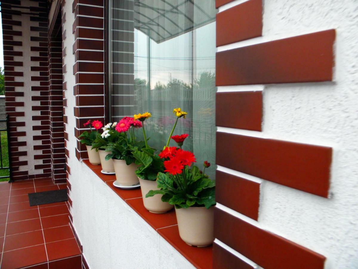 Pensiunea Platinum Târgu Jiu Exterior foto